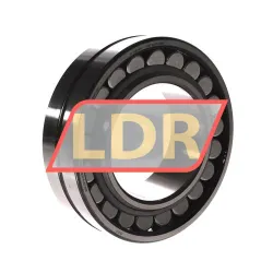 SKF BS2-2216-2CS/VP0601