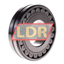 SKF 21313EK