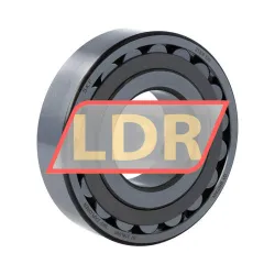SKF 21309EW