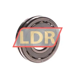 NSK 21306CDE4S11