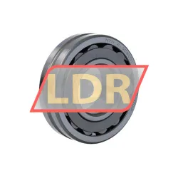 NTN 21308CD1