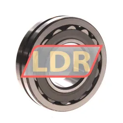 NSK 21309CDKE4C3S11 rulman resim 2