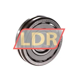 NSK 21305CDE4S11