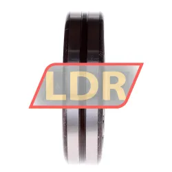 Nachi 21314EX1 W33 K C3 rulman resim 4