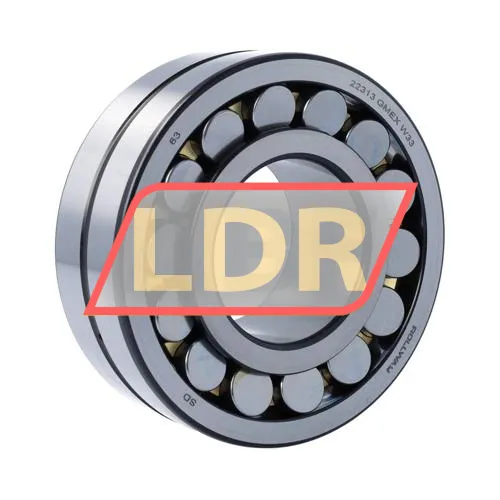 Rollway 22313GMEX W33