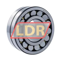 Rollway 22313GMEX W33