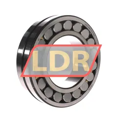 Rollway 22220GMEX K C3 W33