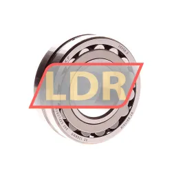SKF 22206
