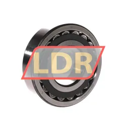 SKF 21310CC