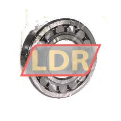 RHP 21315J