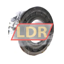 SKF 22318