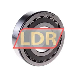 SKF 21309CCK