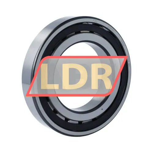 SKF 20216TN9