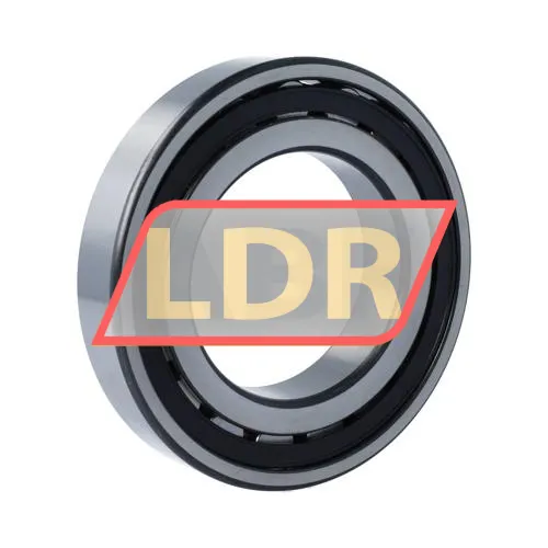 SKF 20216TN9 ürün fotoğrafı 2