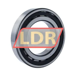 SKF 20216TN9