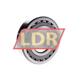SKF 21314C