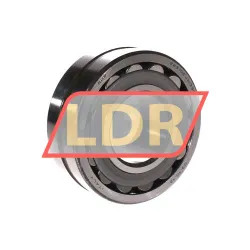RHP 22310-EJW33C3