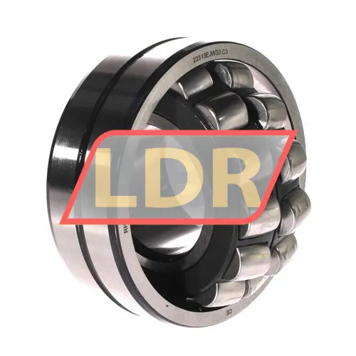 RHP 22313EJ W33 C3 ürün fotoğrafı 4