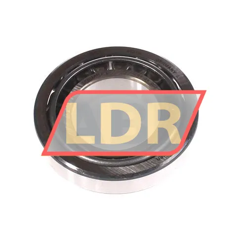 SKF 20209
