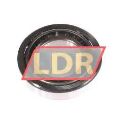 SKF 20209