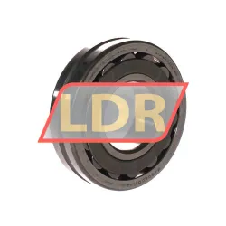 NTN 21309C D1 C3