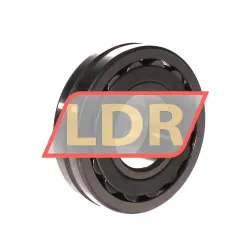 NTN 21309C D1 C3 rulman resim 2