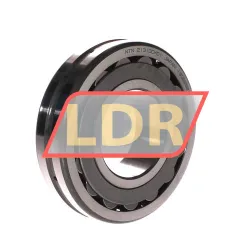 NTN 21310CK D1