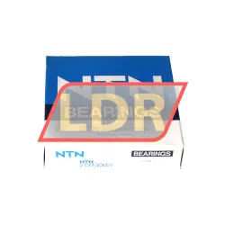 NTN 21310CK D1 rulman resim 5