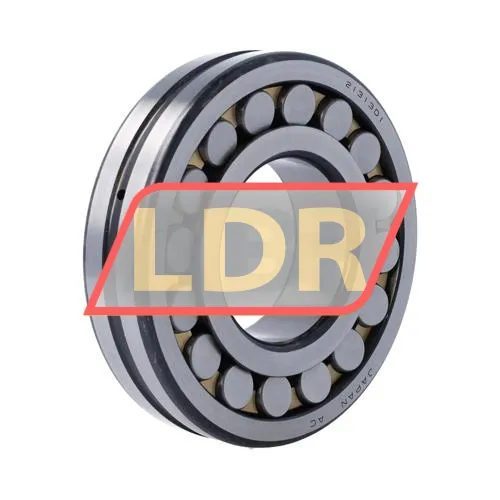 NTN 21313D1