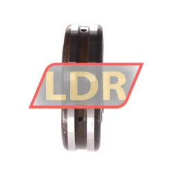 NSK 21304CDE4C3S11 rulman resim 2