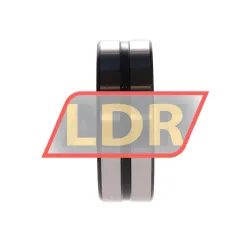 PTI BS2-2209-2CS rulman resim 2