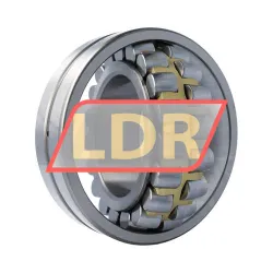 Keep Moving Long 22226KW33C3 rulman resim 3