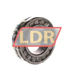 Rollway 22210GMEX K C3 W33