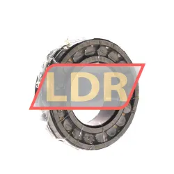 Rollway 22210GMEX K C3 W33 rulman resim 2