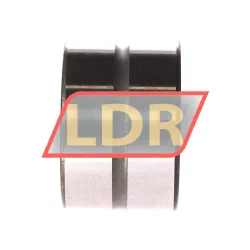 INA RNA6907-ZW-XL rulman resim 2