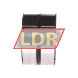 INA RNA6909-ZW-XL rulman resim 2