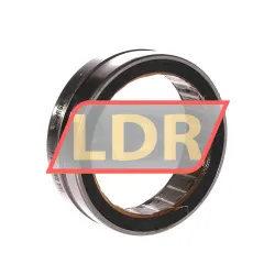 INA RNA4910-RSR-XL