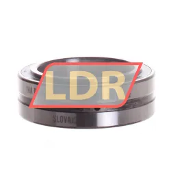 INA NA4910-2RSR-XL rulman resim 2