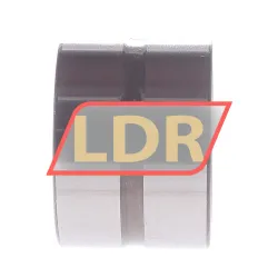 INA RNA6905-XL rulman resim 2