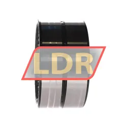 INA RNA6918-ZW-XL rulman resim 2