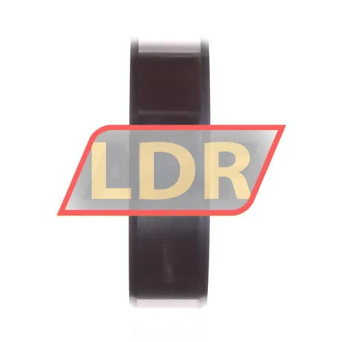INA IR80X90X25-XL ürün fotoğrafı 2