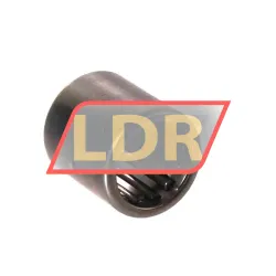 INA HK1015-AS1-B rulman resim 2