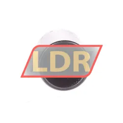 INA BK3038-ZW-L271 rulman resim 4