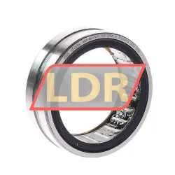 INA RNA4909-2RSR-XL