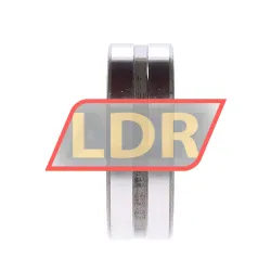 INA RNA4909-2RSR-XL rulman resim 2