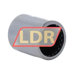 INA BK2538-ZW-A rulman resim 4