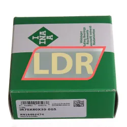 INA IR70X80X30-EGS rulman resim 3