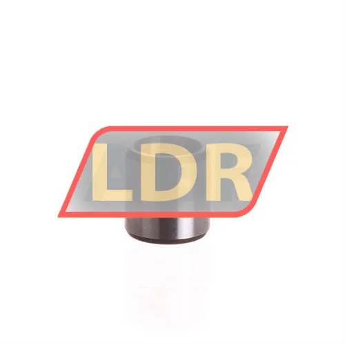 INA LR7X10X10,5