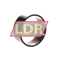INA LR50X55X20,5