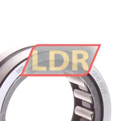 INA RNA4905-XL rulman resim 2